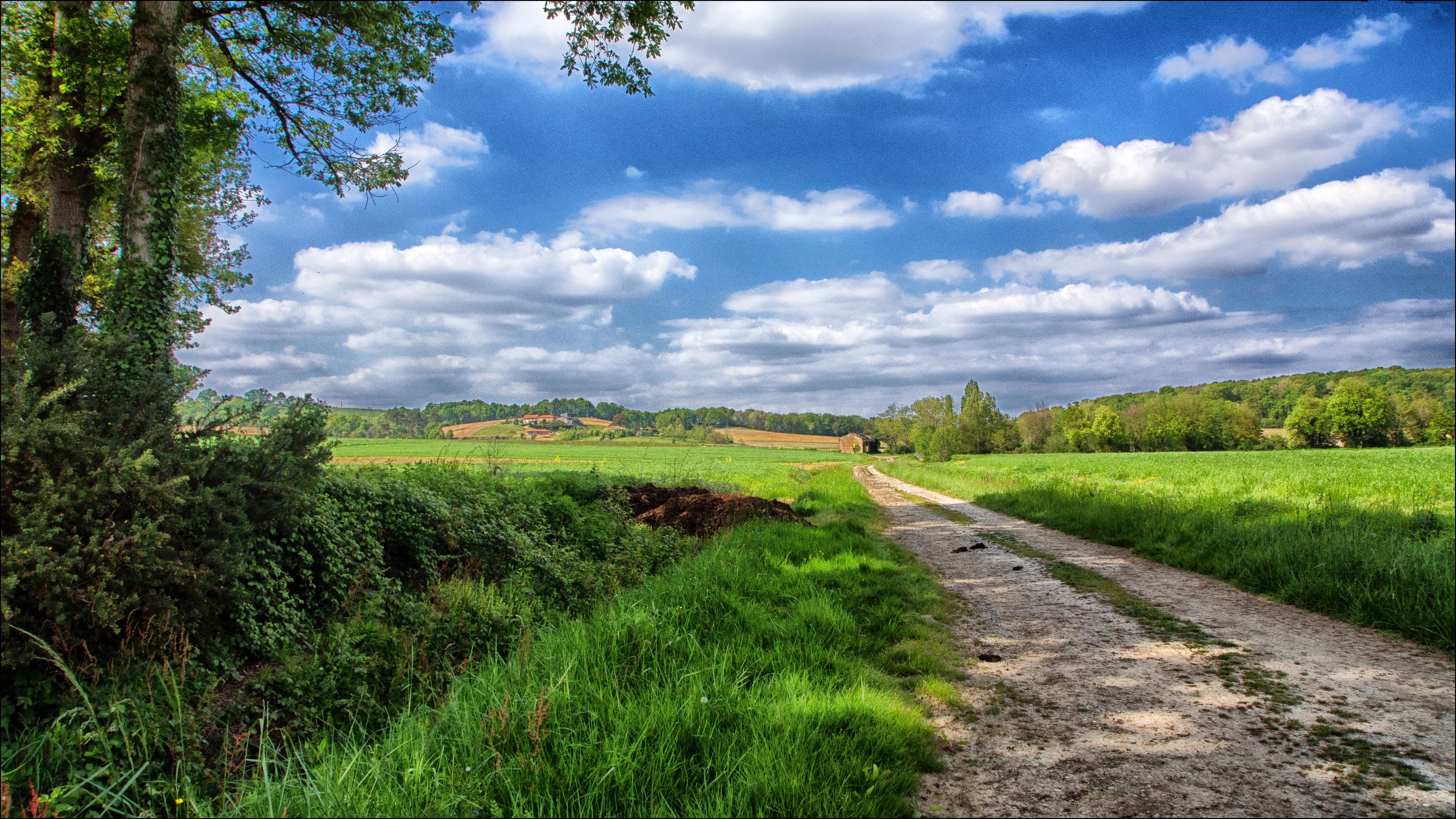 Best Of Best Nature Wallpapers Best Of Best Nature Wallpapers