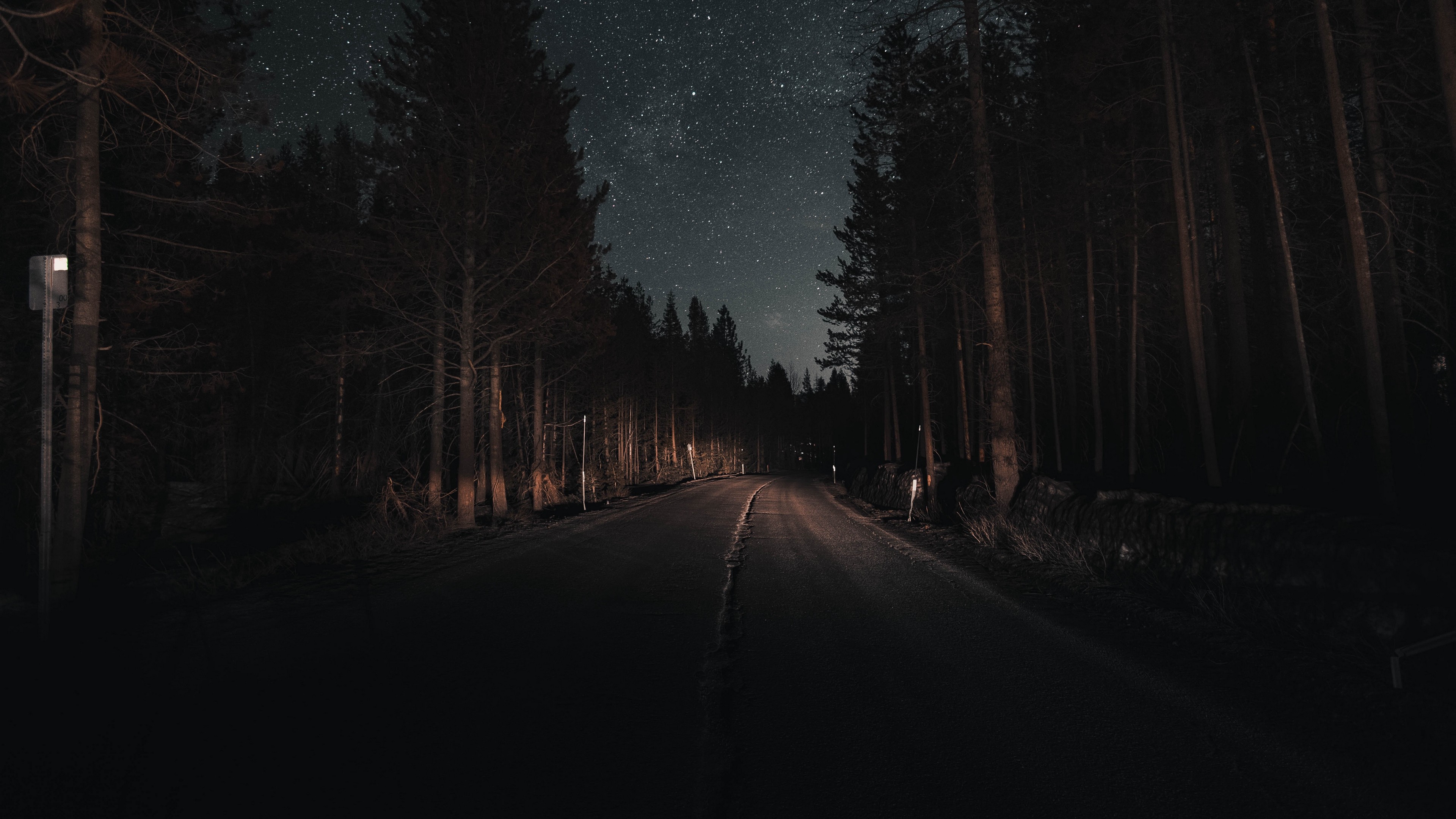 4k Road Forest Night Wallpaper 3840x2160