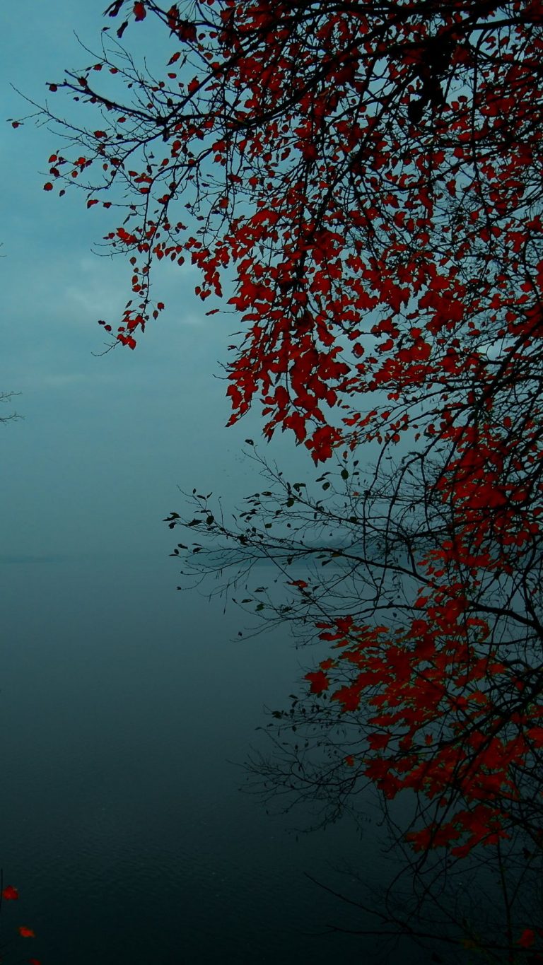 Autumn Phone Wallpaper - 003