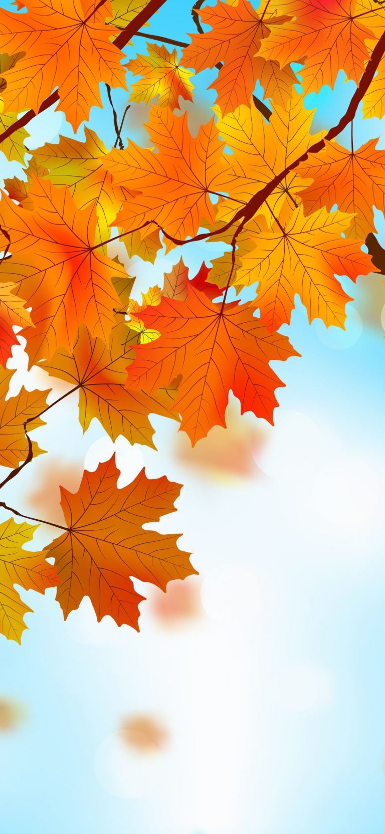 Autumn Phone Wallpaper - 060