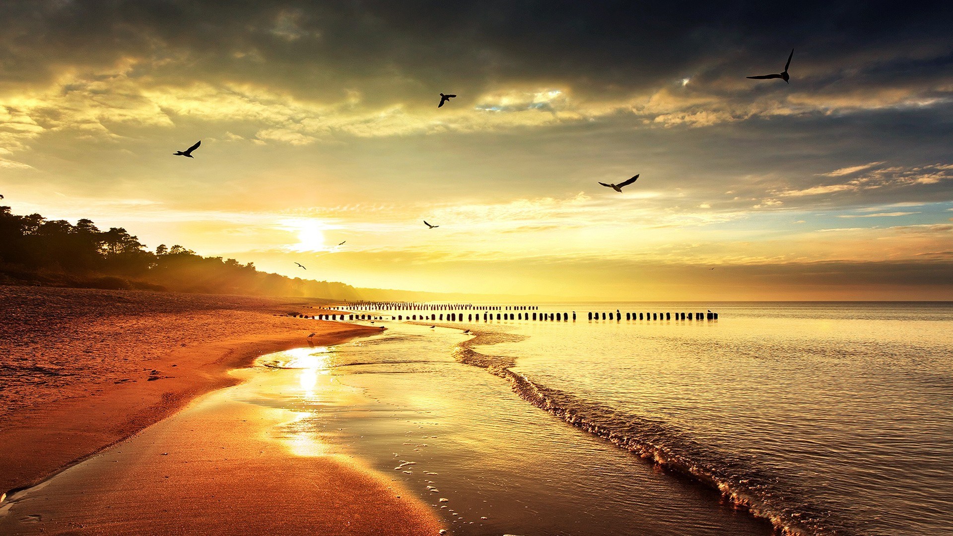 море закат птицы пляж без смс