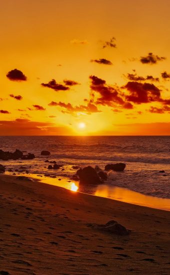 Beach Phone Wallpaper 081 340x550