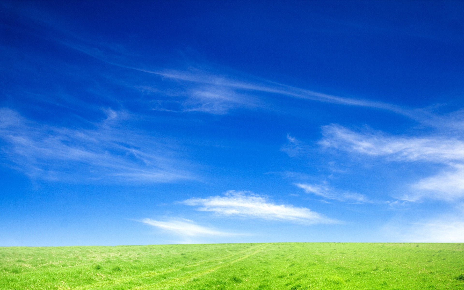 Blue Sky And Green Grass Wallpaper 1920x1200,How To Grill Tuna Belly