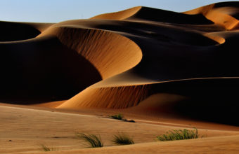 Fascinating and terrible desert with its subtle nuances of color and soft and hard structures and formations. Here man may very little to intervene in the work of nature.