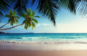 Emerald Sea Paradise Sunshine Beach Wallpaper 2560x1600 340x220