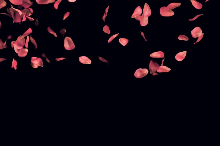 falling rose petals wallpaper 1920x1280