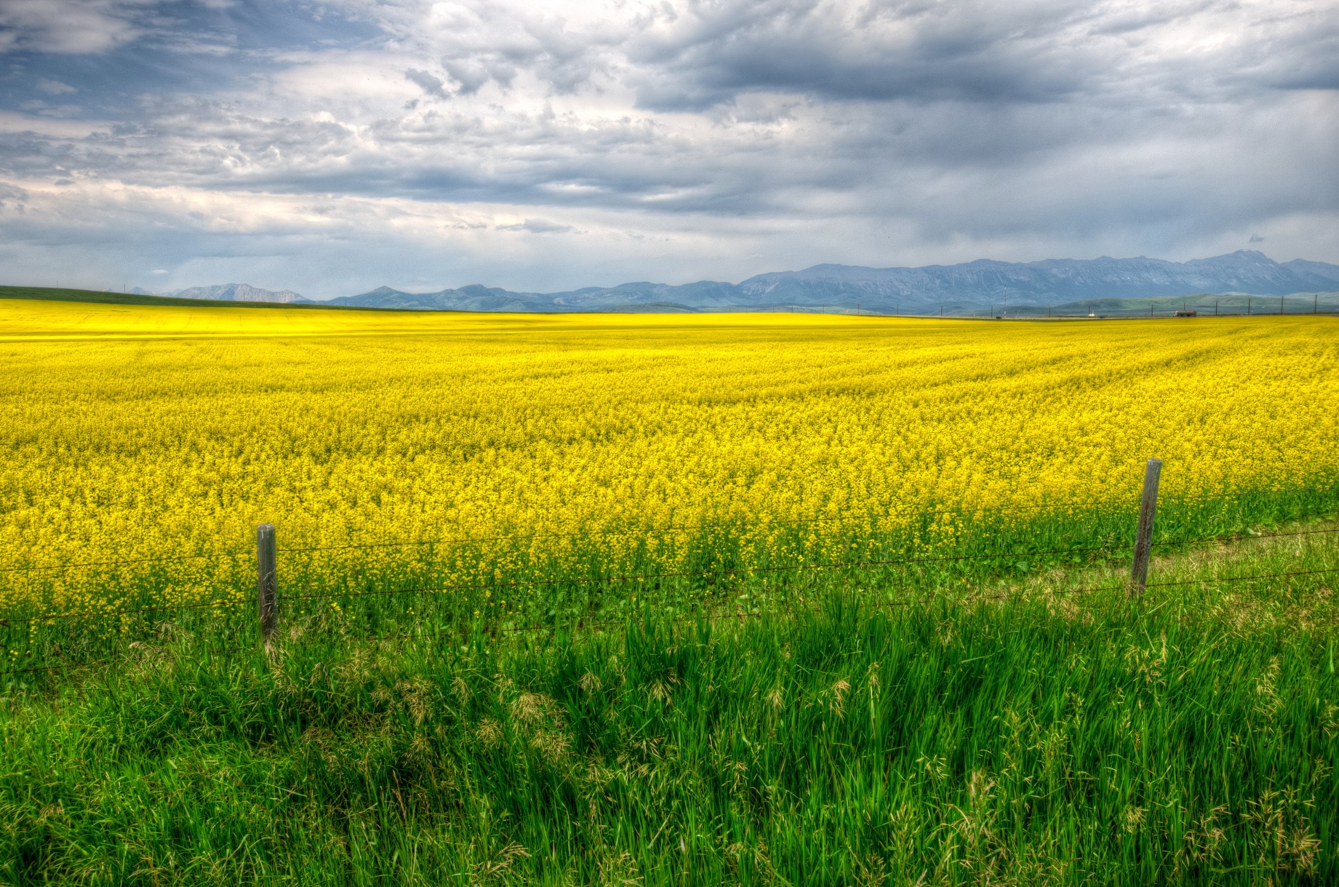 Fields Calgary Grass Yellow Fence Wallpaper [2628x1742]