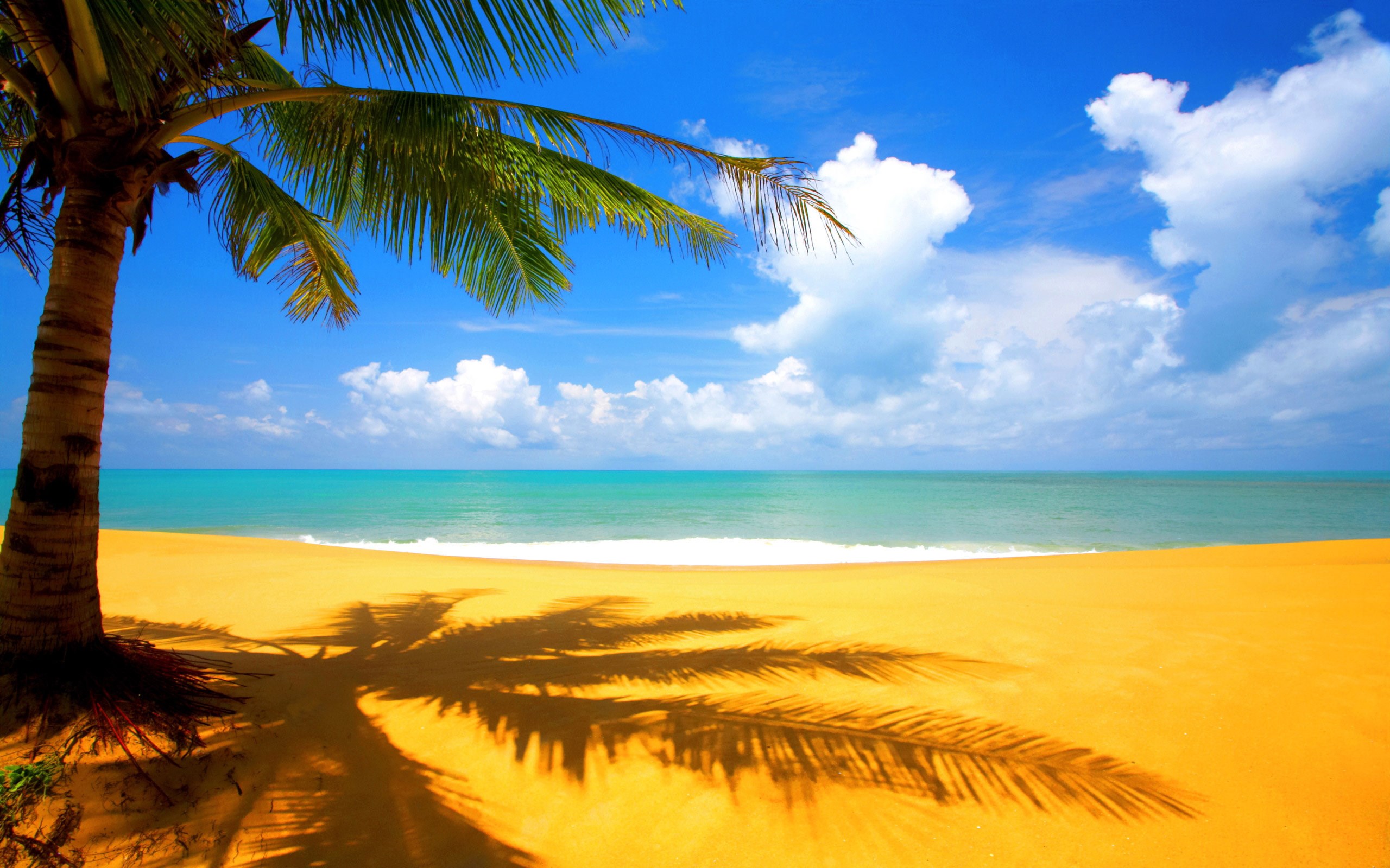 HD beach wallpapers  Peakpx