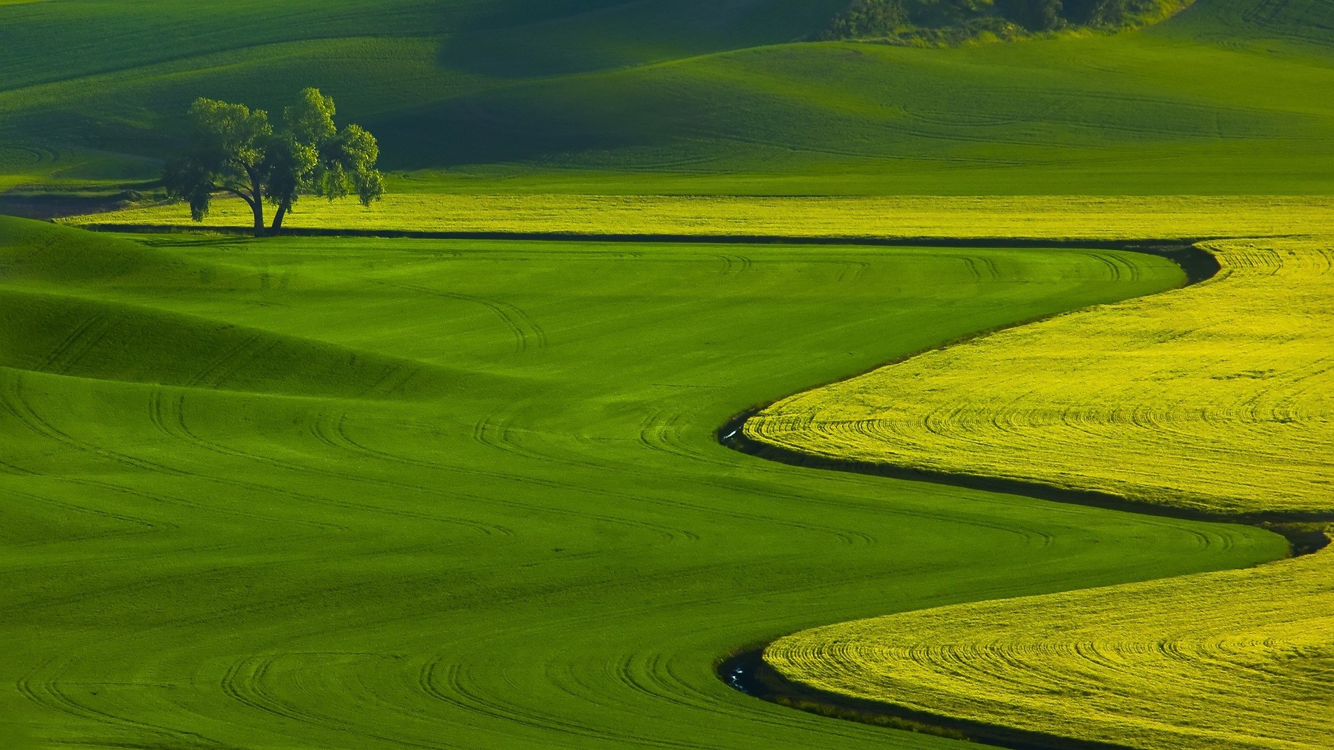 green fields | Green Field | Scenery wallpaper, Scenery, Nature wallpaper