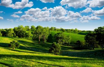 Green Landscape With Trees Wallpaper 1680x1050 340x220