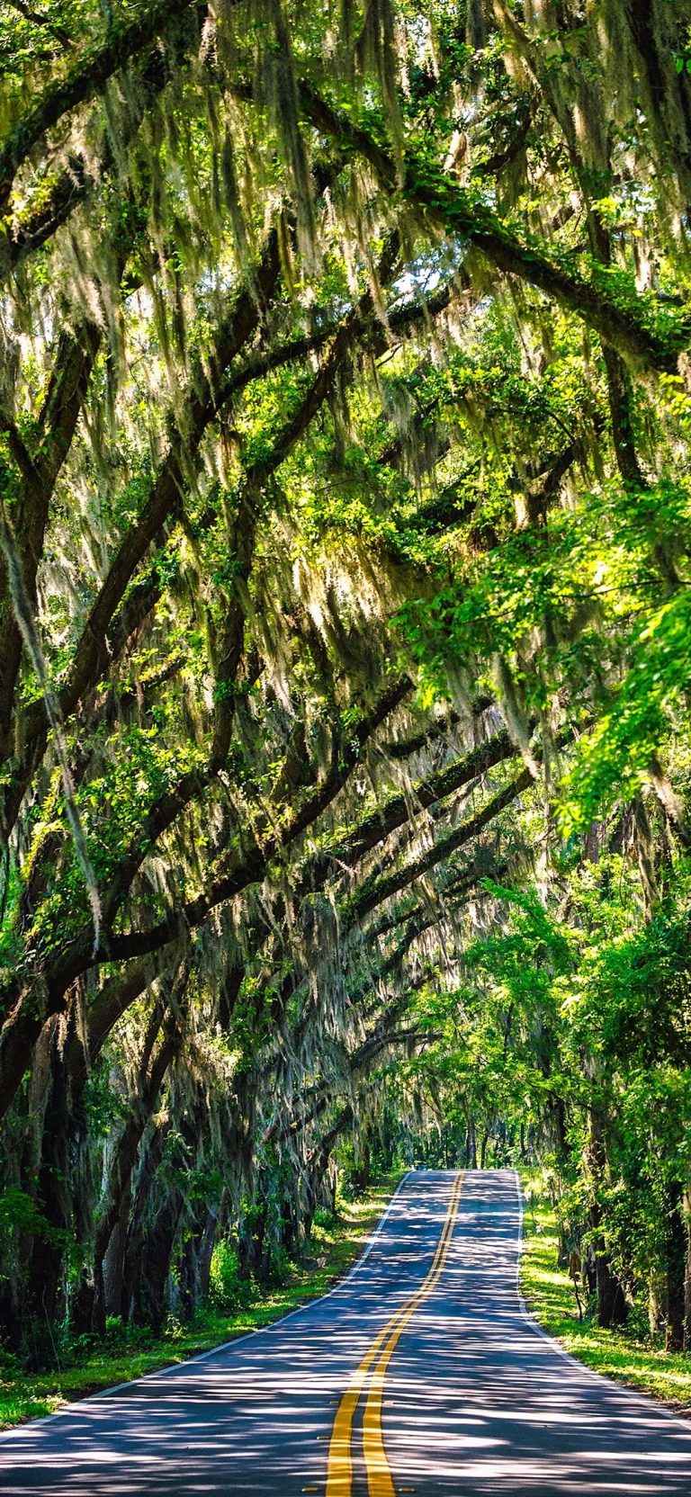 Landscape Phone Wallpaper 201 - 1080x2340
