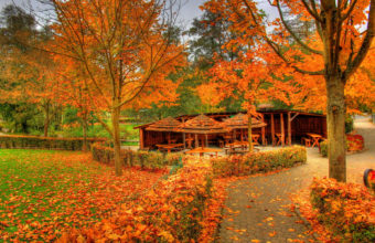 Landscapes Autumn Fall Color Wallpaper 1920x1200 340x220