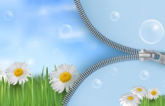 Spring Wallpapers HD
