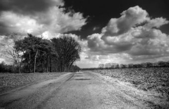Road Country Black And White Wallpaper 1440x900 340x220