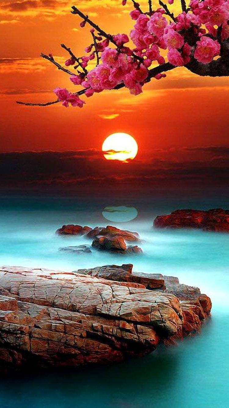 Sea Sunset  iPhone  7 Wallpaper  750x1334 