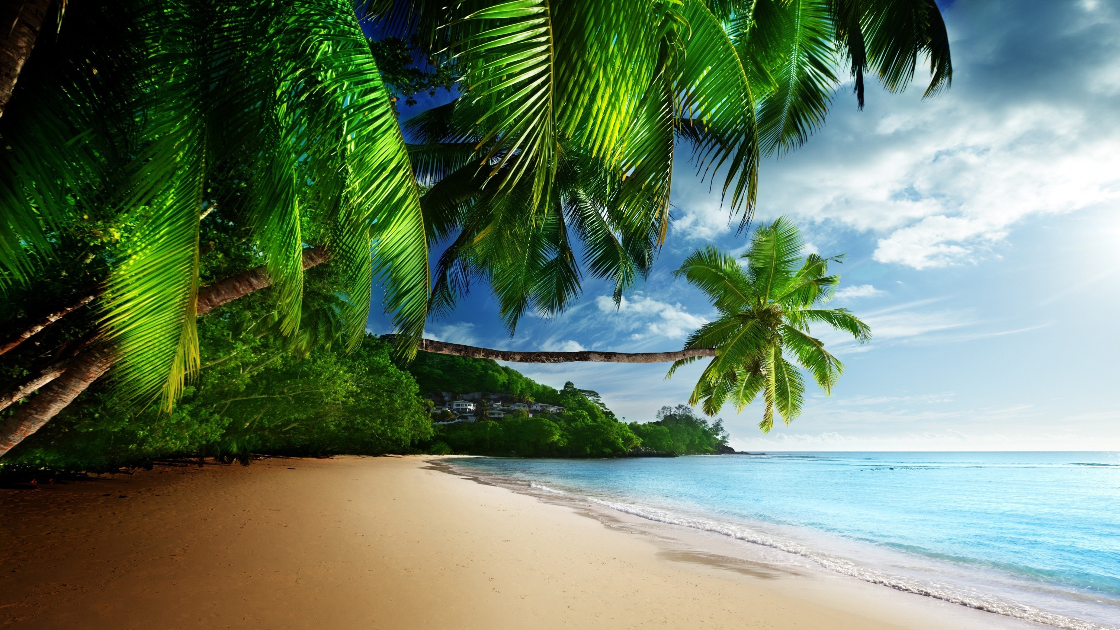 Tropical Beach 4k Ultra Hd Wallpaper 3840x2160