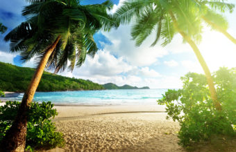 Tropical Beach View 4K Ultra HD Wallpaper 3840x2160 340x220