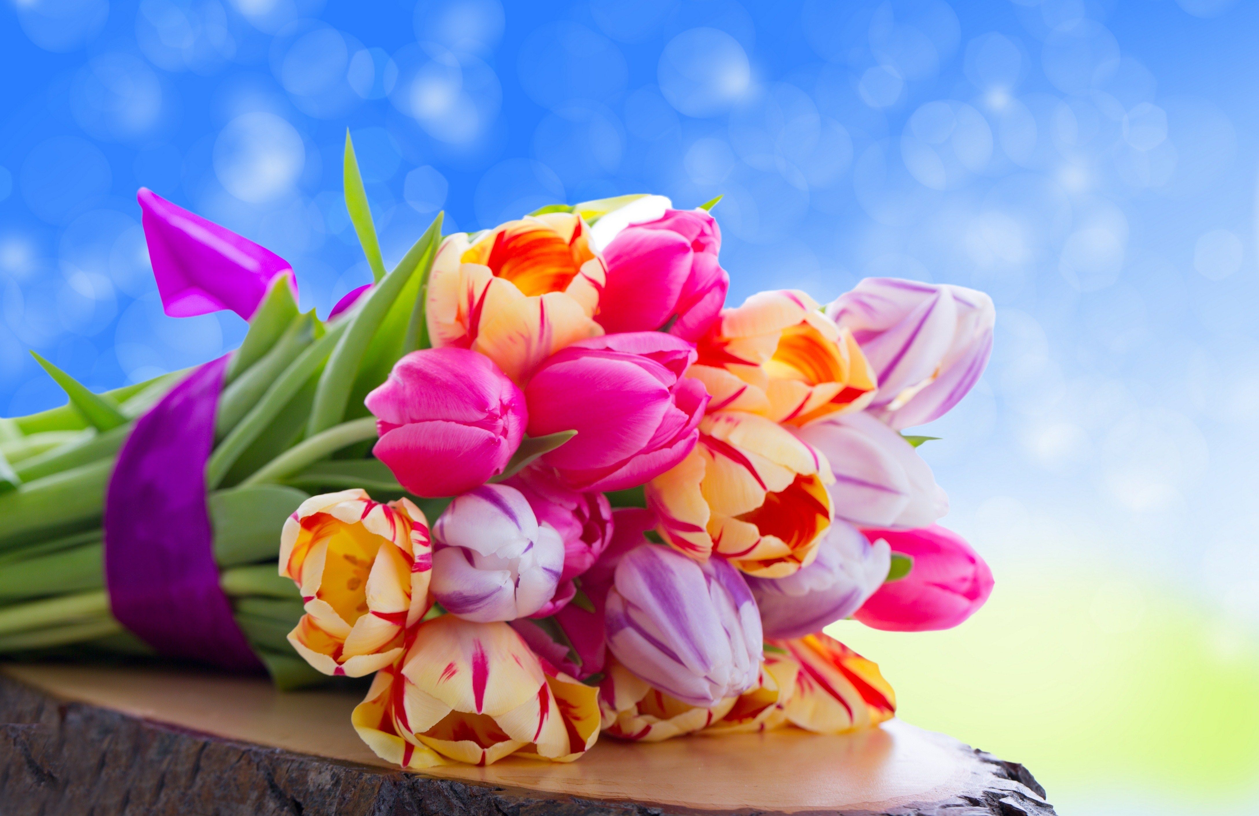 Tulips Flowers Bouquet Wallpaper [4350x2820]