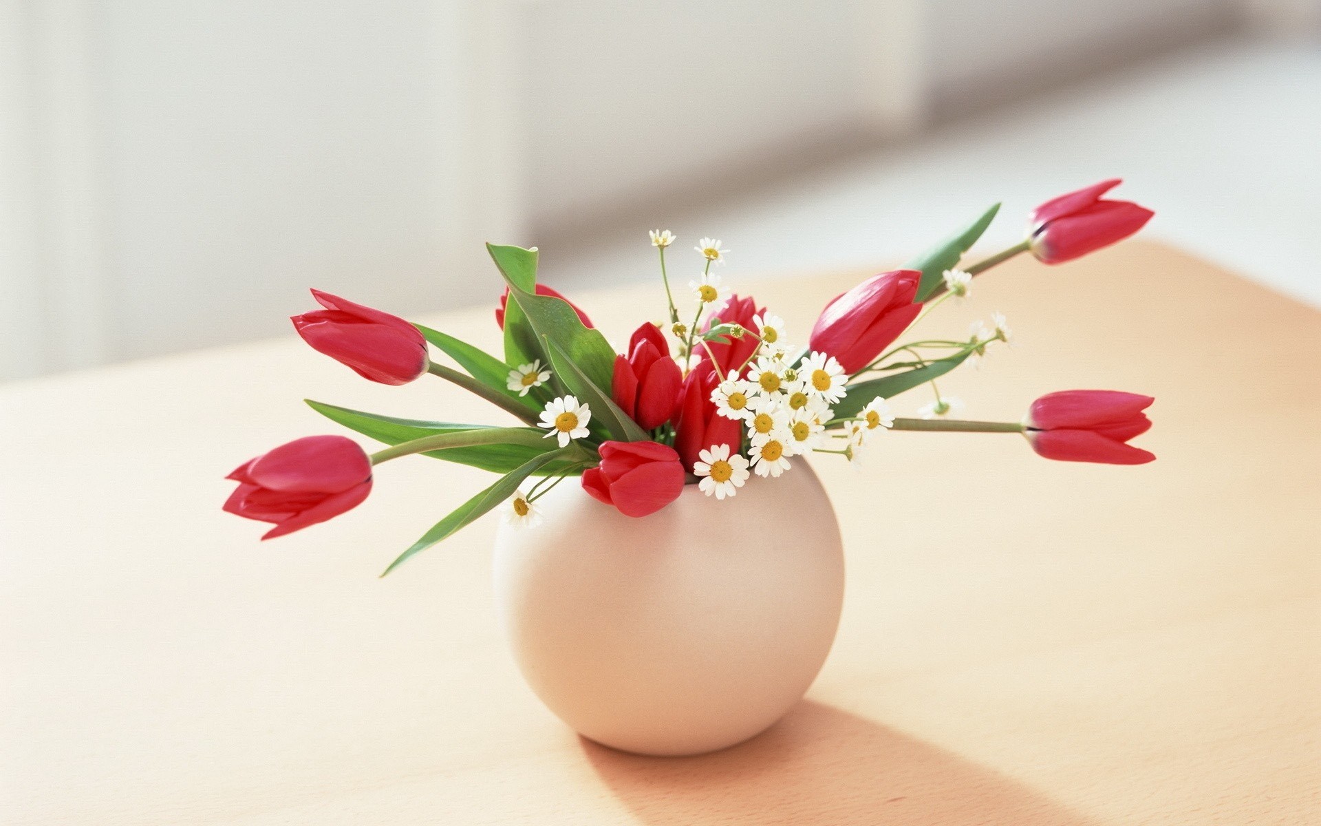 Тюльпаны минимализм. Тюльпаны в вазе. Цветочки в вазе. Букет тюльпанов в вазе. Цветы на столе.