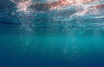 Under Water iPhone 7 Wallpaper 750x1334 340x220