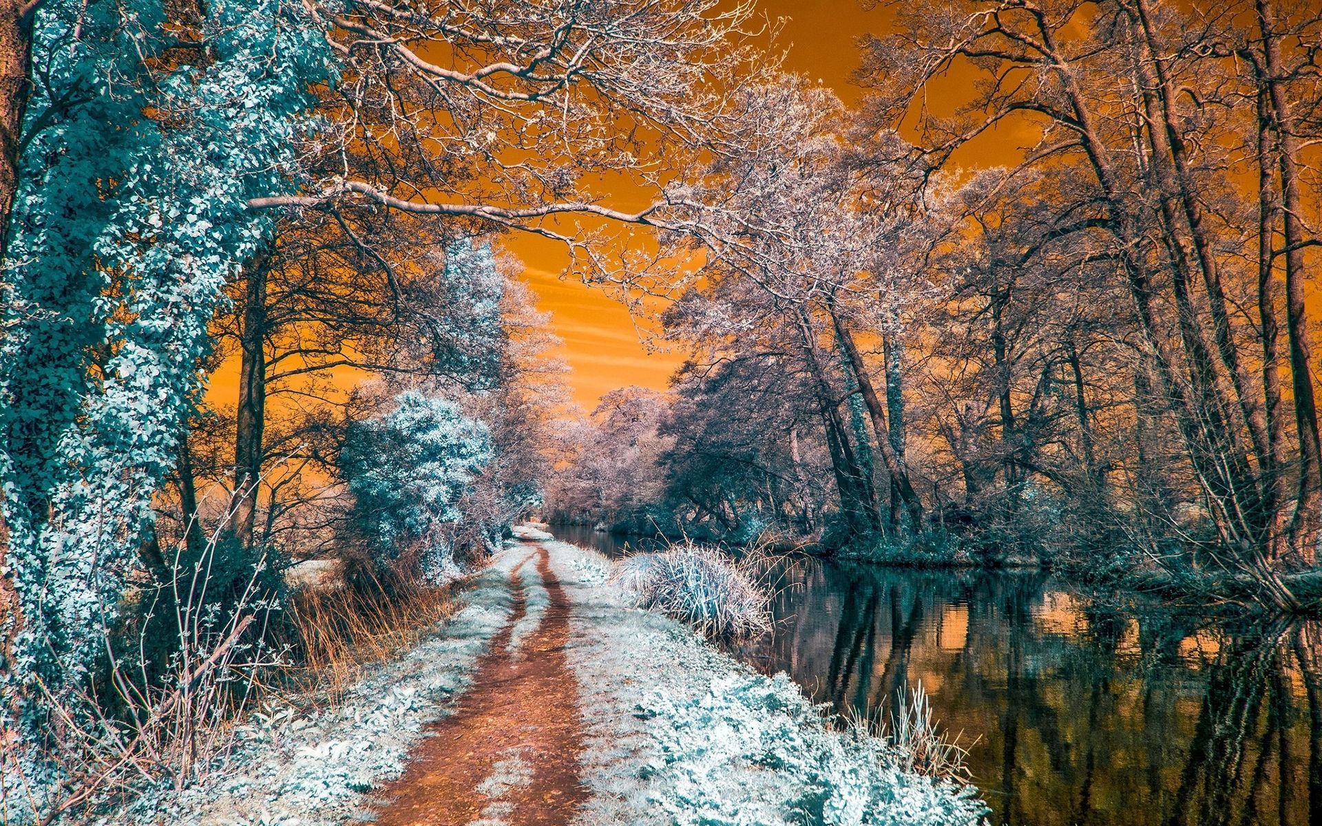 Winter Wallpaper 083 - [1920x1200]