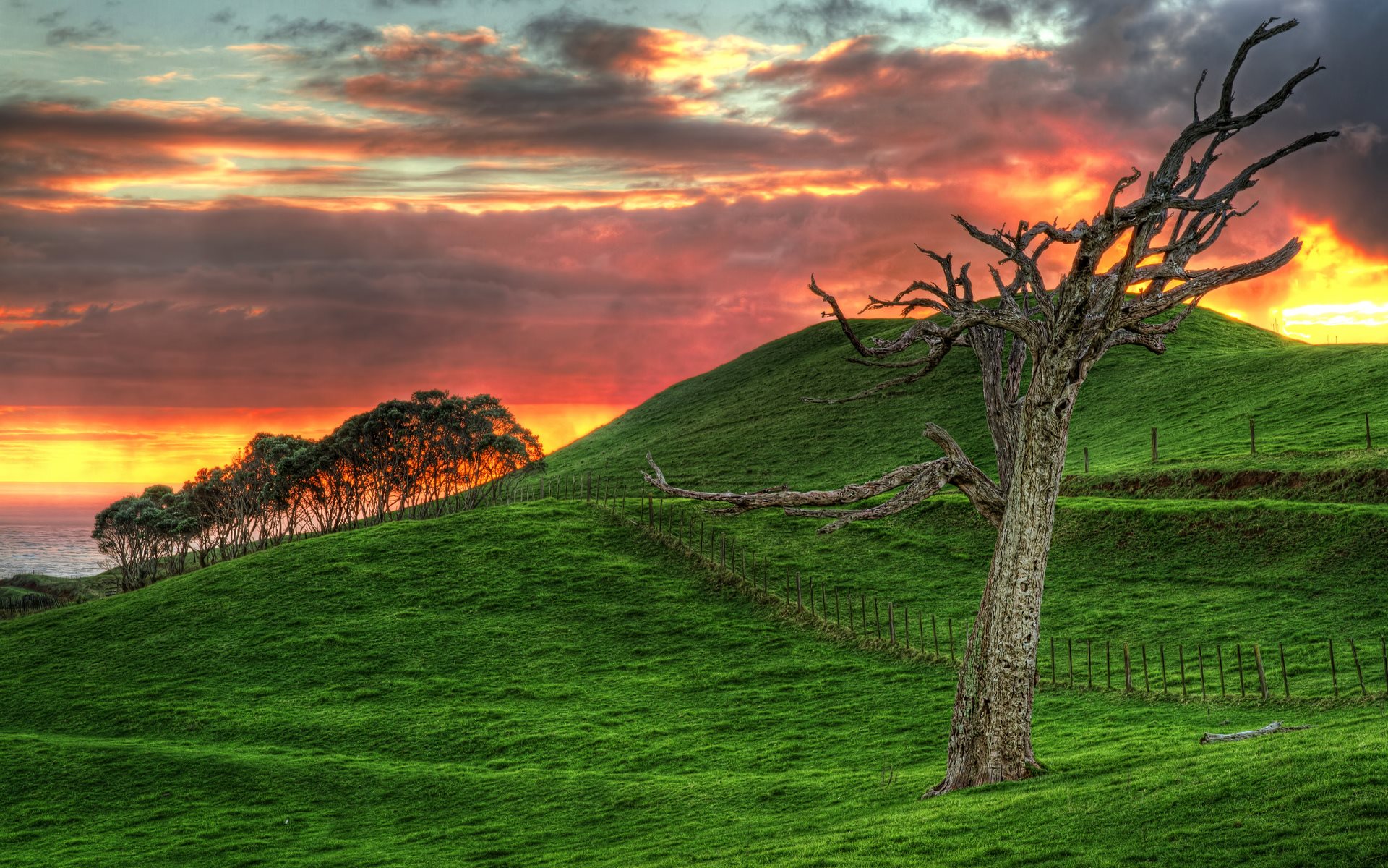 Wonderful Grassy Hill By The Sea At Sunset Hdr Wallpaper [1920x1200]