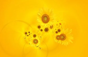 Bright Yellow Sunflowers Wallpaper 1920x1200 340x220