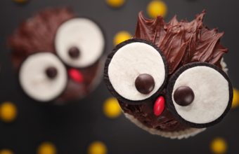 Cupcakes Cakes Chocolate Sweets Wallpaper 2048x1435 340x220