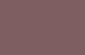 Deep Taupe Solid Color Background Wallpaper 5120x2880 340x220
