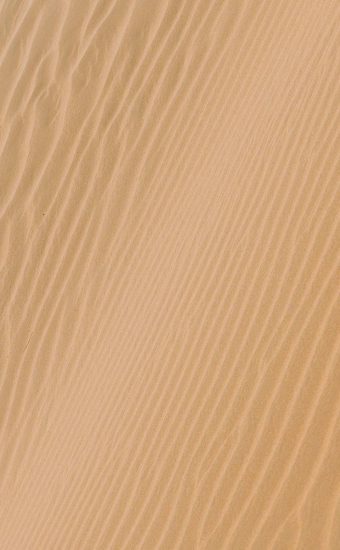 Desert Phone Wallpaper 27 340x550