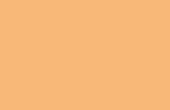 Mellow Apricot Solid Color Background Wallpaper 5120x2880 340x220