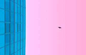 Minimalism Blue Pink Building Wallpaper 1920x1080 340x220