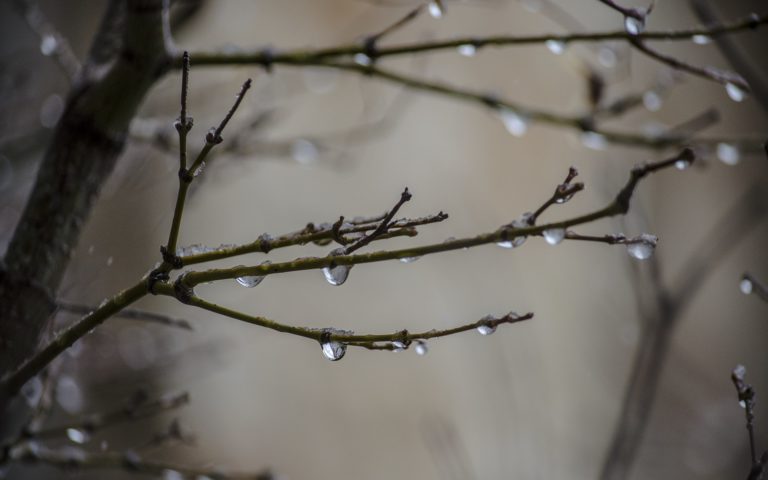 Nature Drops Water Wet Rain Storm Wallpaper [1920x1200]