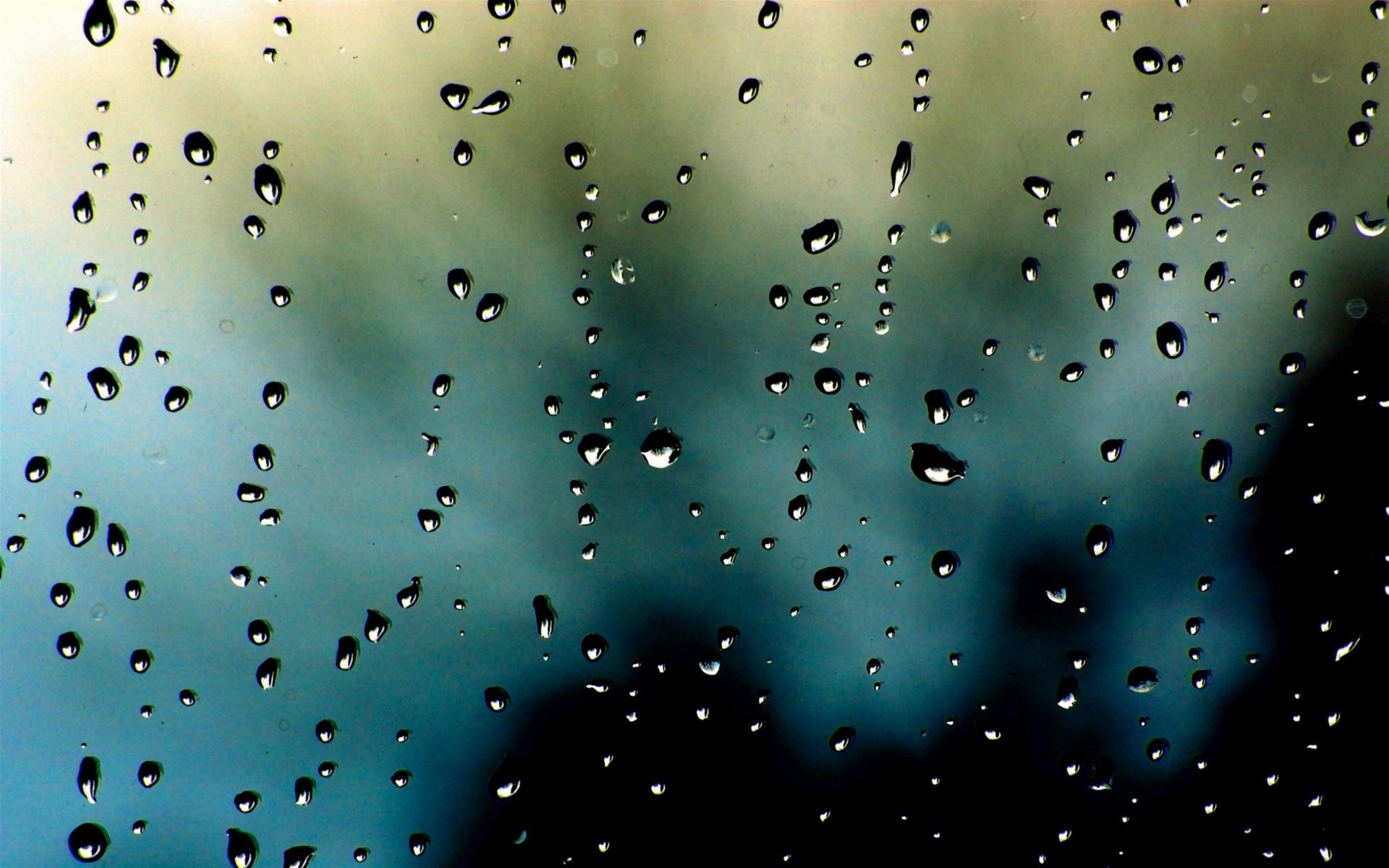 Nature Rain Condensation Rain Wallpaper [1920x1200]