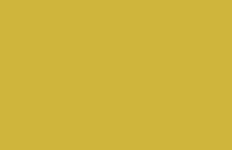Old Gold Solid Color Background Wallpaper 5120x2880 340x220