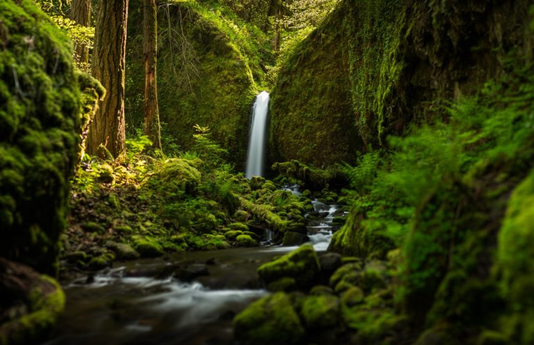 Oregon Waterfall Forest River Mood Wallpaper 2048x1325 768x497