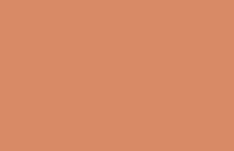 Pale Copper Solid Color Background Wallpaper 5120x2880 340x220