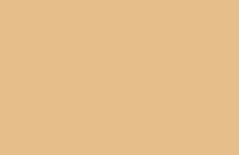 Pale Gold Solid Color Background Wallpaper 5120x2880 340x220