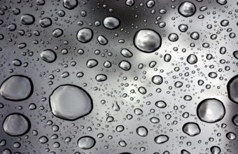 Rain Water Droplets Wallpaper 1920x1080 340x220