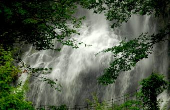 Rainforest Falls Wallpaper 1920x1440 340x220