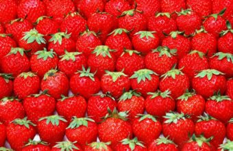 Red Strawberries Wallpaper 1920x1200 340x220