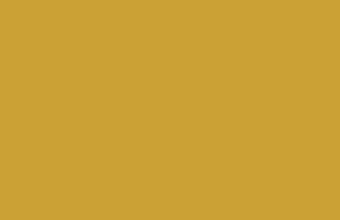 Satin Sheen Gold Solid Color Background Wallpaper 5120x2880 340x220