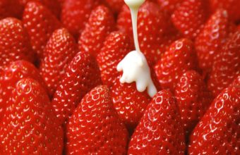 Strawberry Berry Glaze Wallpaper 1440x900 340x220