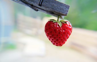 Strawberry Heart Shaped Wallpaper 2560x1600 340x220