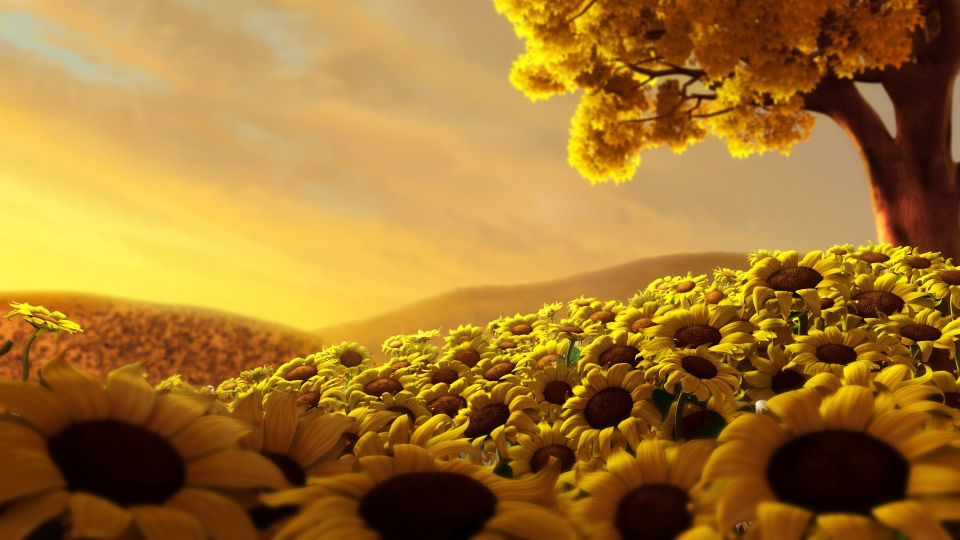 Sun Flower World HD Wallpaper [1920x1080]