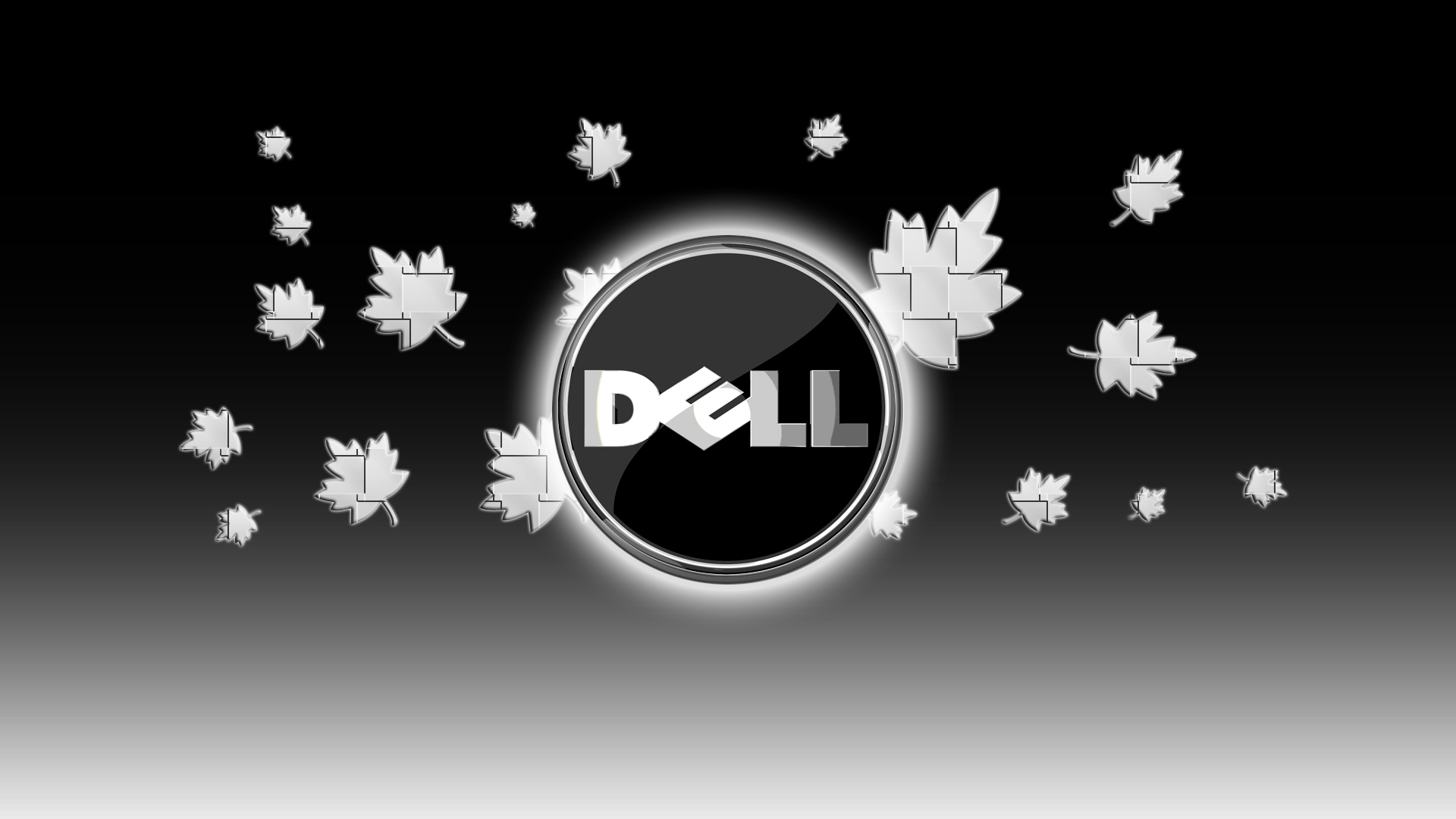 Dell Wallpapers 25 19 X 1080