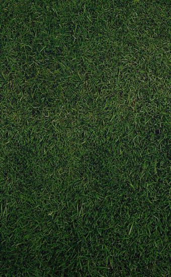 Green Grass Wallpaper 02 340x550