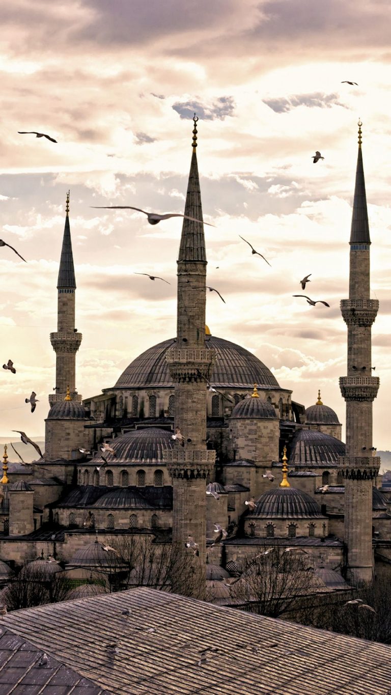 Mosque Wallpaper [1440x2560] - 002