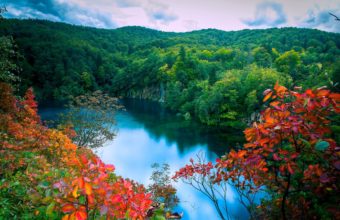 Autumn Forest Lake Trees Waterfalls 2560 X 1600 340x220