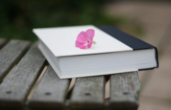 Bench Books Pink Flowers 2560 x 1600 340x220